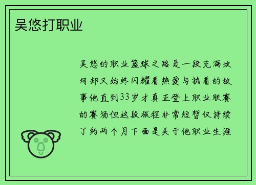 吴悠打职业
